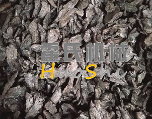 蒸女贞子、黄精体验